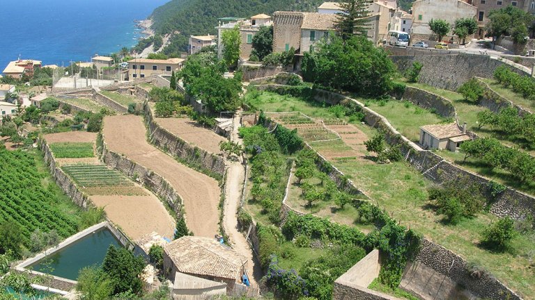 Ökosemiotik Bild Ökosemiotik Bild